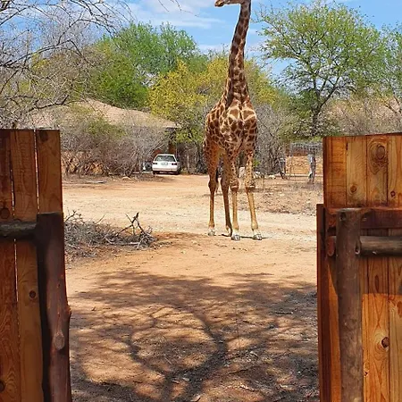 Villa Sonbesie Marloth Park Exterior foto